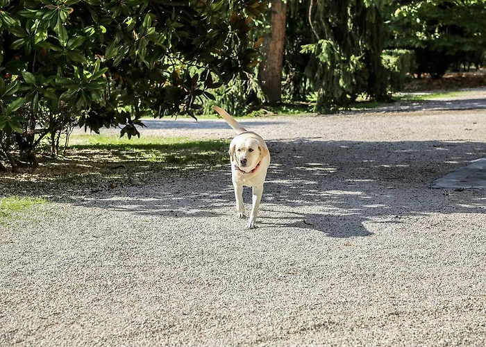 Bed & Breakfast Malacari